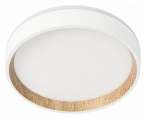 Накладной светильник Citilux Etalon CL750180 в Миассе - miass.ok-mebel.com | фото
