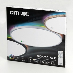 Накладной светильник Citilux NORMA CL749400 в Миассе - miass.ok-mebel.com | фото 15