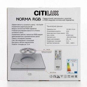 Накладной светильник Citilux Norma CL749K301 в Миассе - miass.ok-mebel.com | фото 10
