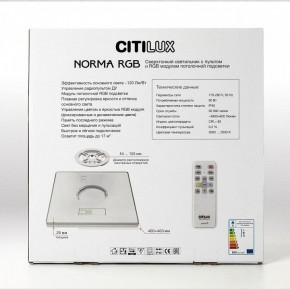 Накладной светильник Citilux Norma CL749K400 в Миассе - miass.ok-mebel.com | фото 17