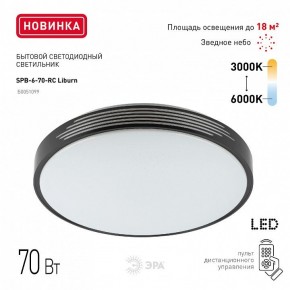 Накладной светильник Эра Классик SPB-6-70-RC Liburn в Миассе - miass.ok-mebel.com | фото 10