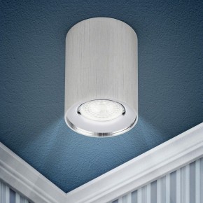 Накладной светильник Эра  OL1 GU10 SL/CH в Миассе - miass.ok-mebel.com | фото 3