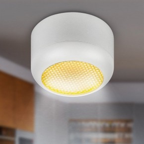 Накладной светильник Эра  OL56 WH в Миассе - miass.ok-mebel.com | фото 8