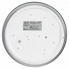 Накладной светильник Эра Relict Relict 22 SPB-6-20 4К WH в Миассе - miass.ok-mebel.com | фото 4