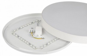 Накладной светильник Эра Relict Relict 38 SPB-6-40 4К WH в Миассе - miass.ok-mebel.com | фото 7