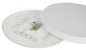 Накладной светильник Эра Relict Relict 48 Pult SPB-6-60-RC WH в Миассе - miass.ok-mebel.com | фото 11