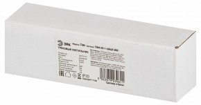 Накладной светильник Эра  TRM-S5-1-6W4K-WH в Миассе - miass.ok-mebel.com | фото 6