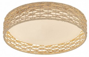 Накладной светильник F-promo Conrad 4749-4C в Миассе - miass.ok-mebel.com | фото 2