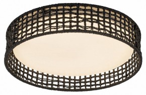 Накладной светильник F-promo Conrad 4750-4C в Миассе - miass.ok-mebel.com | фото 2