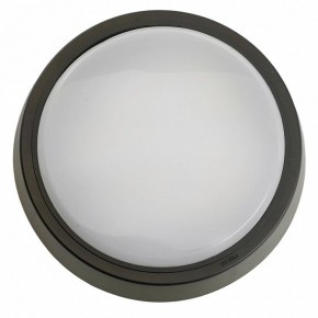 Накладной светильник Feron AL3020 51474 в Миассе - miass.ok-mebel.com | фото 4