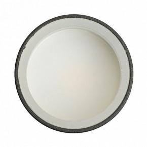Накладной светильник Feron ML100 51369 в Миассе - miass.ok-mebel.com | фото 8