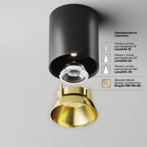 Накладной светильник Maytoni Alfa LED C064CL-12W4K-RD-B в Миассе - miass.ok-mebel.com | фото 3