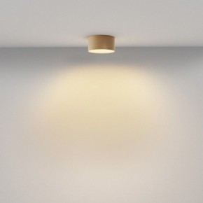 Накладной светильник Maytoni Zon C032CL-12W2.7K-RD-MG в Миассе - miass.ok-mebel.com | фото 4