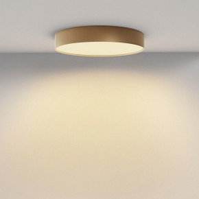 Накладной светильник Maytoni Zon C032CL-45W2.7K-RD-MG в Миассе - miass.ok-mebel.com | фото 4