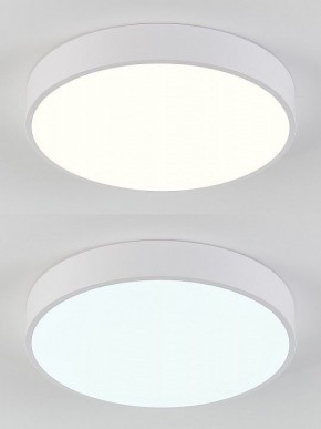 Накладной светильник Natali Kovaltseva  LED LAMPS 81111/5C в Миассе - miass.ok-mebel.com | фото 4