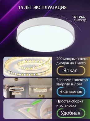 Накладной светильник Natali Kovaltseva  LED LAMPS 81111/5C в Миассе - miass.ok-mebel.com | фото 5