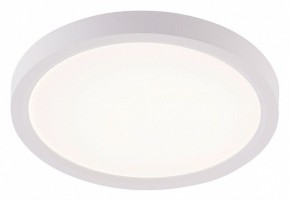 Накладной светильник Natali Kovaltseva PLAIN LED LAMPS 81113/1C в Миассе - miass.ok-mebel.com | фото