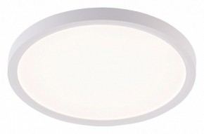 Накладной светильник Natali Kovaltseva PLAIN LED LAMPS 81113/2C в Миассе - miass.ok-mebel.com | фото