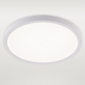 Накладной светильник Natali Kovaltseva PLAIN LED LAMPS 81113/2C в Миассе - miass.ok-mebel.com | фото 2