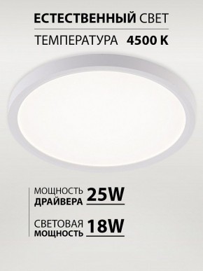 Накладной светильник Natali Kovaltseva PLAIN LED LAMPS 81113/2C в Миассе - miass.ok-mebel.com | фото 3
