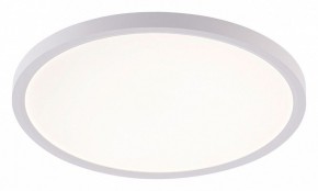 Накладной светильник Natali Kovaltseva PLAIN LED LAMPS 81113/3C в Миассе - miass.ok-mebel.com | фото