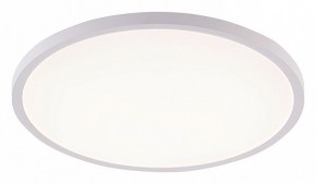 Накладной светильник Natali Kovaltseva PLAIN LED LAMPS 81113/5C в Миассе - miass.ok-mebel.com | фото