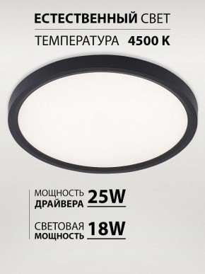 Накладной светильник Natali Kovaltseva PLAIN LED LAMPS 81114/2C в Миассе - miass.ok-mebel.com | фото 3
