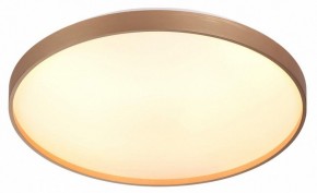 Накладной светильник Sonex Gaby 7783/EL в Миассе - miass.ok-mebel.com | фото 5