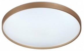 Накладной светильник Sonex Gaby 7783/EL в Миассе - miass.ok-mebel.com | фото 6