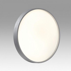 Накладной светильник Sonex Gaby 7784/CL в Миассе - miass.ok-mebel.com | фото 2