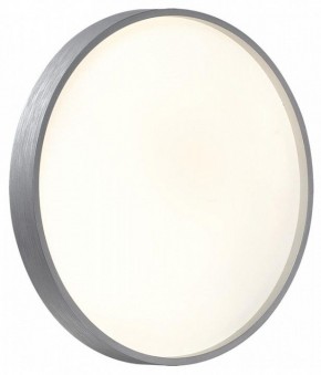 Накладной светильник Sonex Gaby 7784/CL в Миассе - miass.ok-mebel.com | фото 3