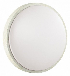 Накладной светильник Sonex Losta 7628/DL в Миассе - miass.ok-mebel.com | фото 6