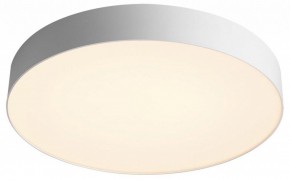 Накладной светильник Sonex Optima 7779/EL в Миассе - miass.ok-mebel.com | фото 3