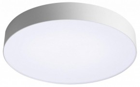 Накладной светильник Sonex Optima 7779/EL в Миассе - miass.ok-mebel.com | фото 4