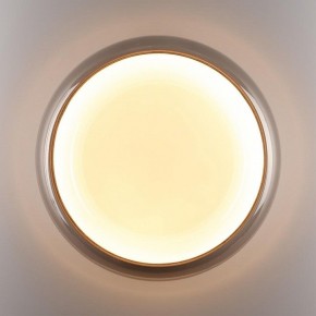 Накладной светильник Sonex PORTMAN 7777/DLN в Миассе - miass.ok-mebel.com | фото 6