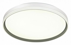 Накладной светильник Sonex Savi 7631/EL в Миассе - miass.ok-mebel.com | фото 5