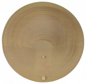 Накладной светильник ST-Luce Fossil SL6900.501.16 в Миассе - miass.ok-mebel.com | фото