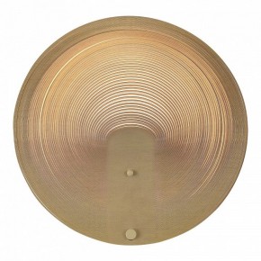 Накладной светильник ST-Luce Fossil SL6900.501.16 в Миассе - miass.ok-mebel.com | фото 2