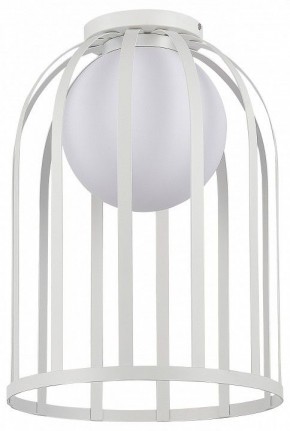 Накладной светильник ST-Luce Nordic SL6129.502.01 в Миассе - miass.ok-mebel.com | фото