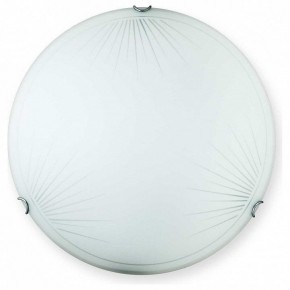 Накладной светильник TopLight Wifa TL9142Y-00WH в Миассе - miass.ok-mebel.com | фото