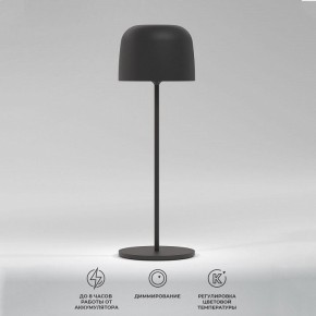 Настольная лампа декоративная Elektrostandard Bitty a069002 в Миассе - miass.ok-mebel.com | фото 2