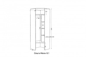 ОЛЬГА-МИЛК 9.1 Шкаф угловой без зеркала в Миассе - miass.ok-mebel.com | фото 2