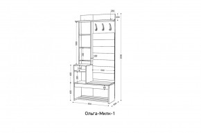 ОЛЬГА-МИЛК Прихожая (модульная) в Миассе - miass.ok-mebel.com | фото 2