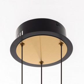 Подвесная люстра Citilux HELLY CL211042 в Миассе - miass.ok-mebel.com | фото 11
