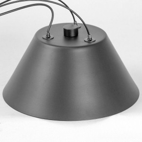 Подвесная люстра Lussole Hopkins LSP-7408 в Миассе - miass.ok-mebel.com | фото 7