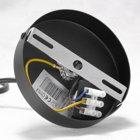 Подвесная люстра Lussole Kenner GRLSP-8271 в Миассе - miass.ok-mebel.com | фото 7