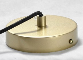 Подвесная люстра Lussole Murray GRLSP-8171 в Миассе - miass.ok-mebel.com | фото 8