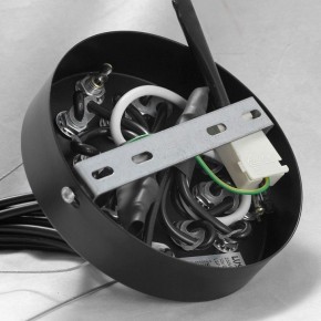 Подвесная люстра Lussole Seneca GRLSP-8177 в Миассе - miass.ok-mebel.com | фото 10