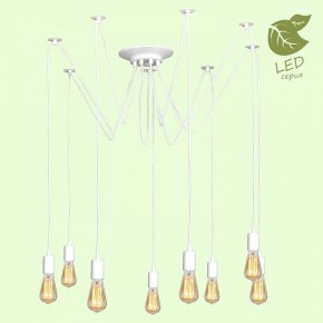 Подвесная люстра Lussole Shirley GRLSP-8173 в Миассе - miass.ok-mebel.com | фото 3
