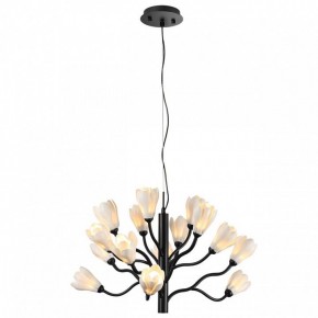 Подвесная люстра Odeon Light Gardi 5090/15 в Миассе - miass.ok-mebel.com | фото 2